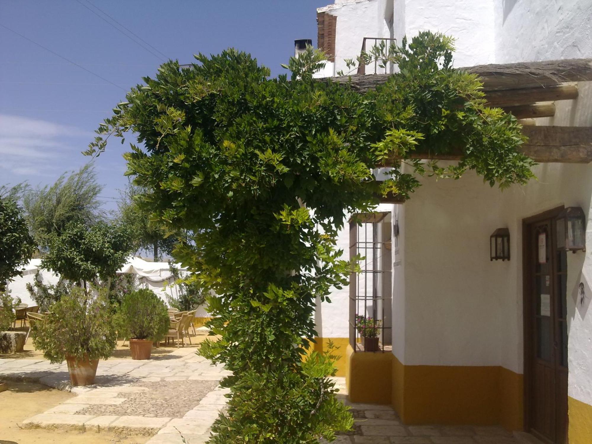 Posada De Jose Mª El Tempranillo Alameda Luaran gambar